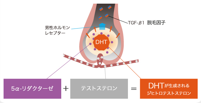 シャンプーする男性